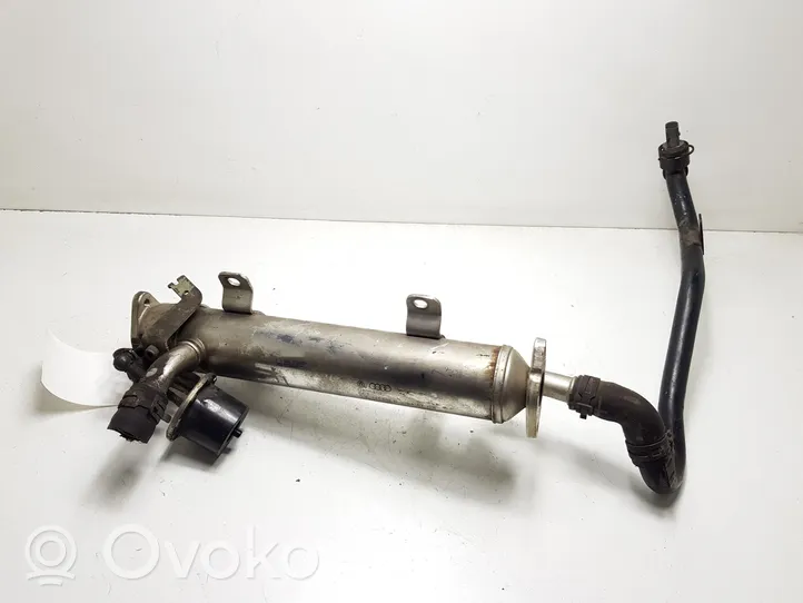 Volkswagen PASSAT CC EGR-venttiili/lauhdutin 03L131512B