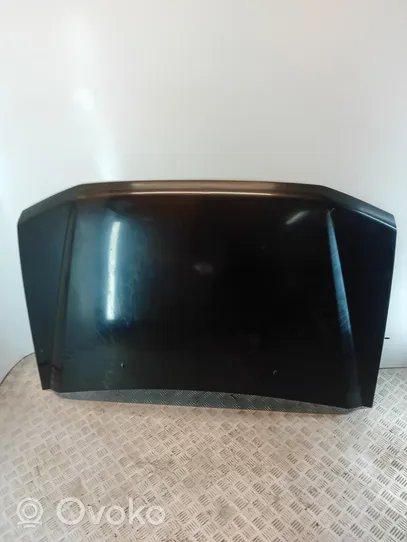 Mitsubishi Pajero Pinin Engine bonnet/hood MB858850