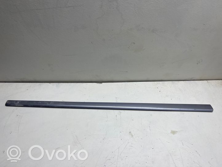 Audi A4 S4 B7 8E 8H Rivestimento della portiera anteriore (modanatura) 8E0853954