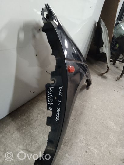 Renault Scenic I Fender 