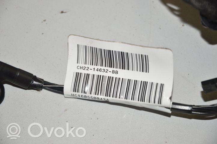 Land Rover Discovery 4 - LR4 Cableado de puerta trasera CH2214632BB