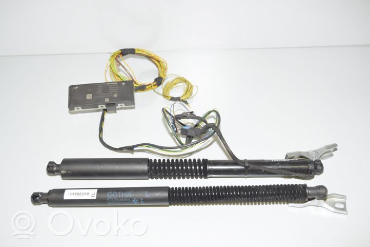 BMW X3 G01 Pompa / Siłownik klapy tylnej bagażnika / Komplet 51247497482