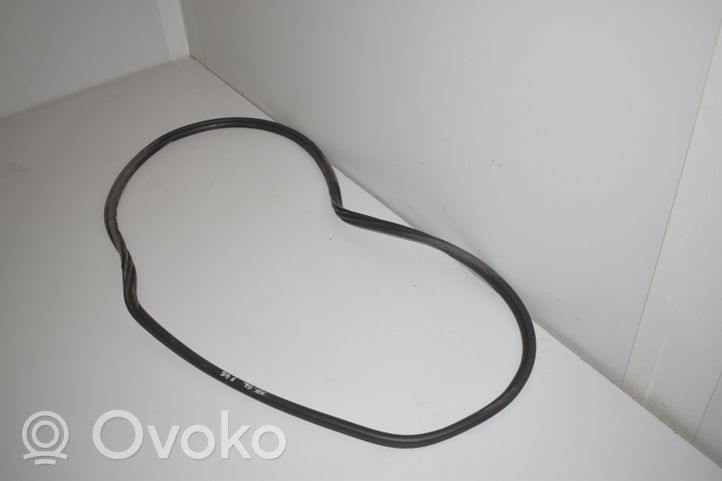 BMW 2 F46 Rear door rubber seal (on body) 7316818