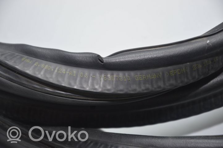 BMW X1 E84 Trunk rubber seal (body) 1635731