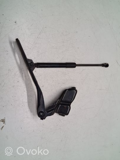 Audi Q5 SQ5 Engine bonnet/hood hinges 