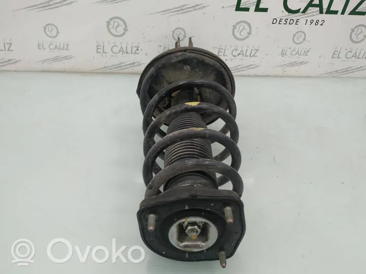 Hyundai Tucson LM Rear shock absorber with coil spring 