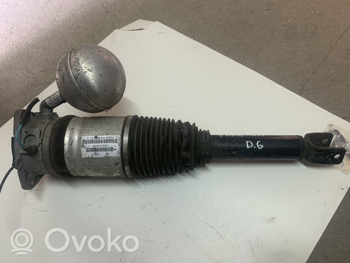 Volkswagen Phaeton Shock absorber/damper/air suspension 3D0616002N