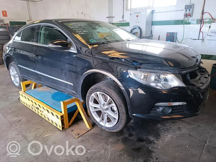 Volkswagen PASSAT CC Priekinės durys 159831