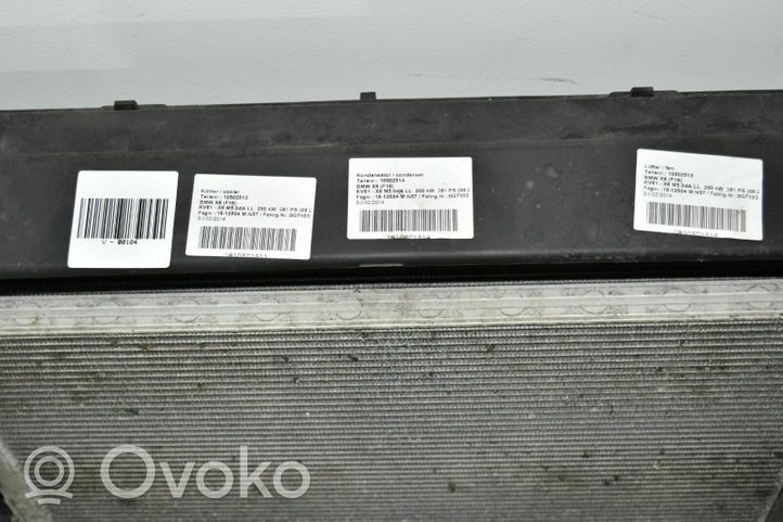BMW X5 F15 Set del radiatore V00104