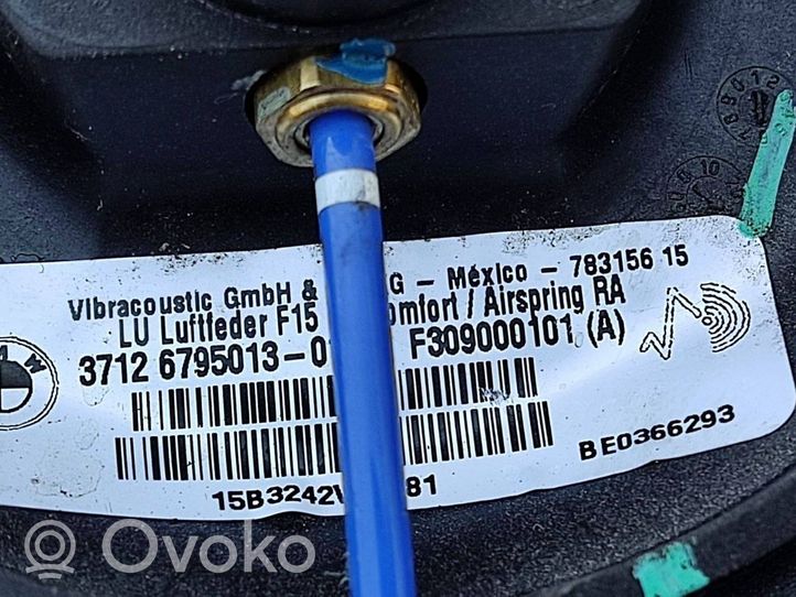 BMW X6 F16 Amortisseur, ressort pneumatique suspension arrière 6795013