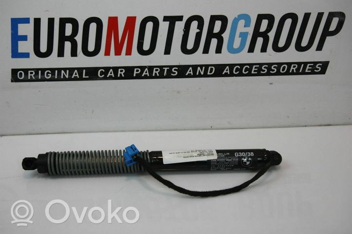 BMW 5 G30 G31 Puntone del portellone posteriore 012173