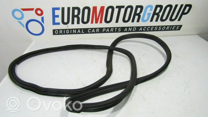 BMW X5 E70 Rubber seal rear door 016537