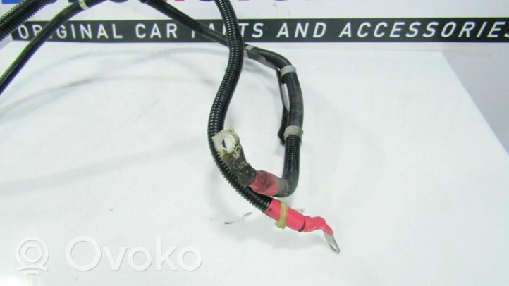 BMW 5 F10 F11 Cables (alternador) R02004