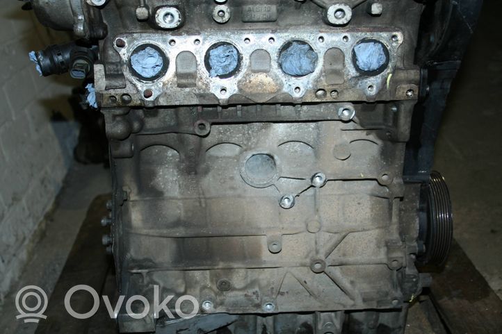 Skoda Octavia Mk2 (1Z) Motore BVY