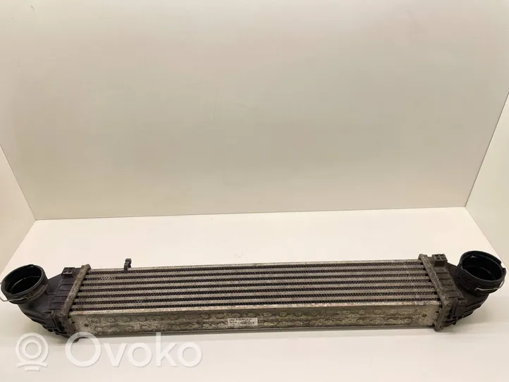 Mercedes-Benz A W169 Radiatore intercooler A1695000000