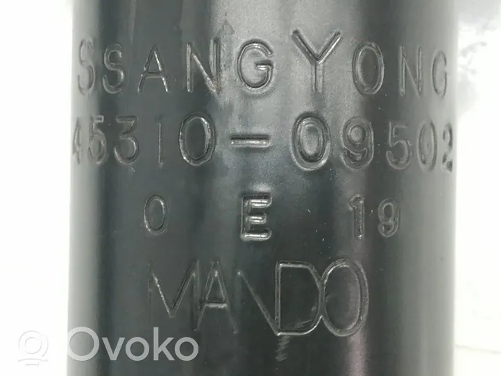SsangYong Kyron Amortyzator osi tylnej ze sprężyną 
