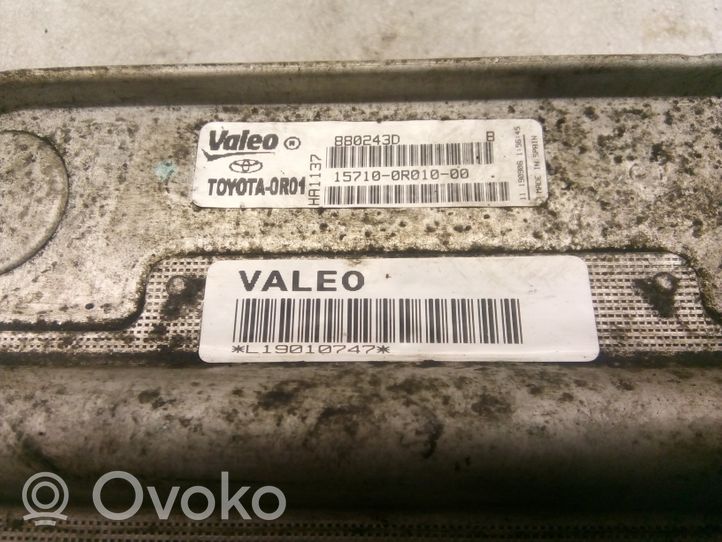 Toyota Avensis T250 Variklio tepalo radiatorius 