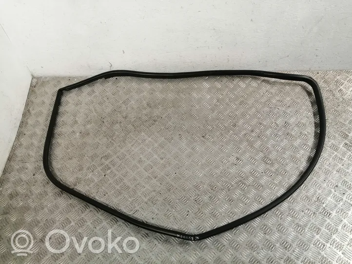 Toyota Avensis T270 Front door rubber seal 