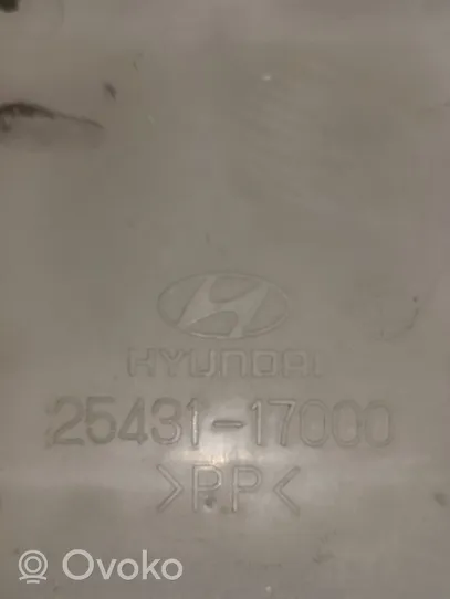 Hyundai Matrix Serbatoio di compensazione del liquido refrigerante/vaschetta 2543117000