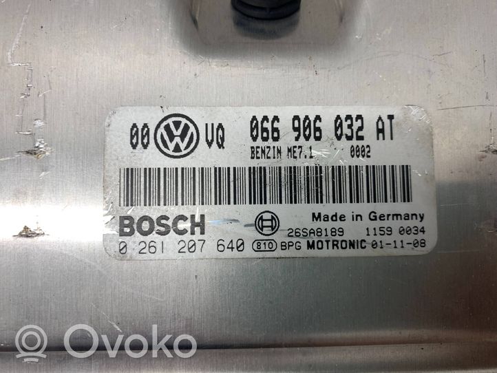 Volkswagen PASSAT B5.5 Блок управления двигателя 066906032AT
