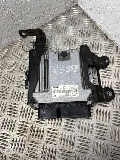 KIA Sorento Sterownik / Moduł ECU 391012F020