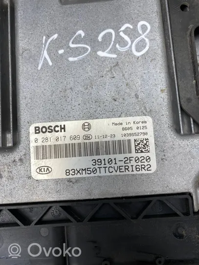 KIA Sorento Sterownik / Moduł ECU 391012F020