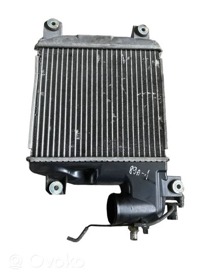 Toyota Hilux (AN10, AN20, AN30) Interkūlerio radiatorius TG1270000741