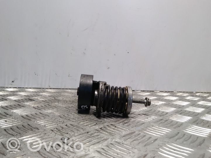 Volkswagen Golf VI Tensor de correa del alternador 038903315AH