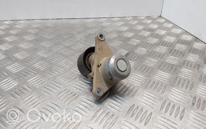 Nissan X-Trail T31 Napinacz paska alternatora 117507568R