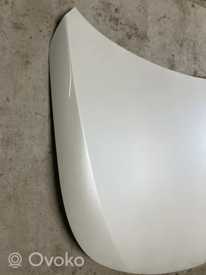 Renault Latitude (L70) Engine bonnet/hood 