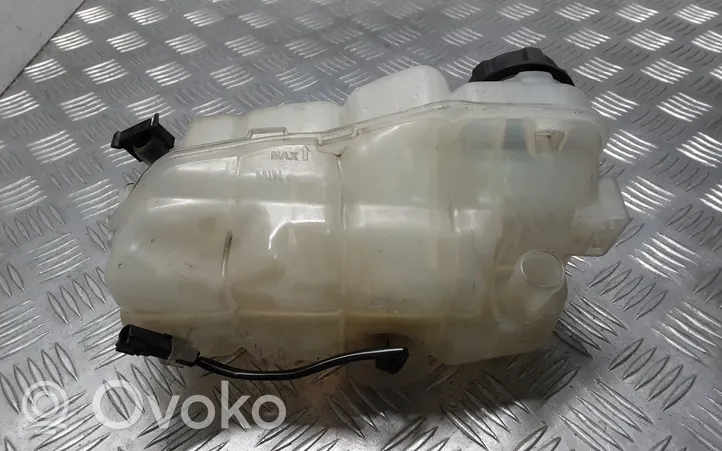 Volvo V40 Serbatoio di compensazione del liquido refrigerante/vaschetta 31338764