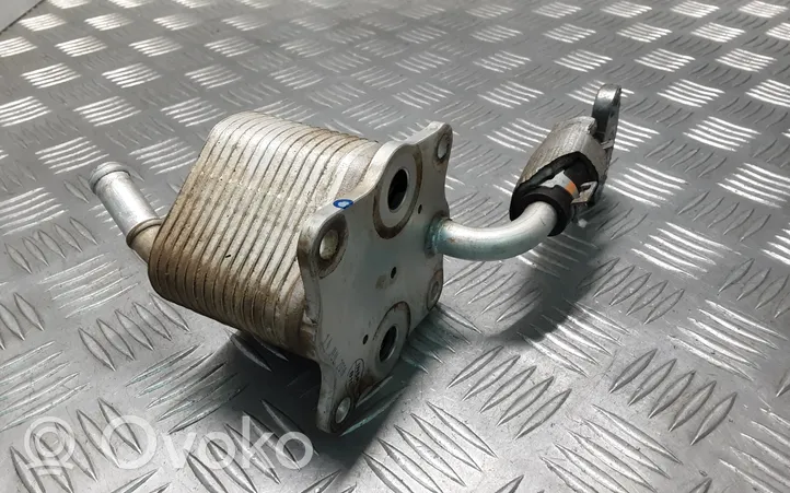 Toyota Land Cruiser (J150) Supporto di montaggio del filtro dell’olio 0240008681