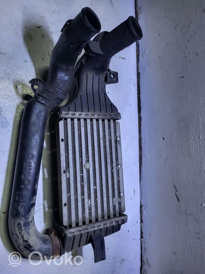 Opel Zafira A Intercooler radiator 24436438DF1