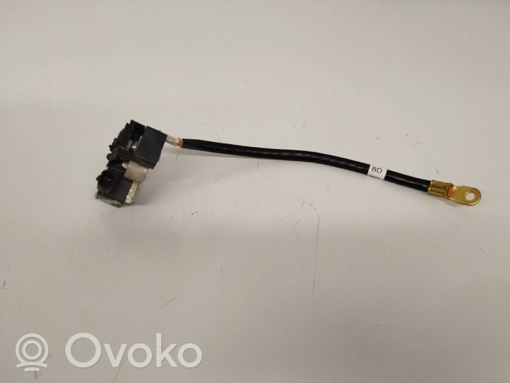 Nissan Ariya Negative earth cable (battery) 250820499R