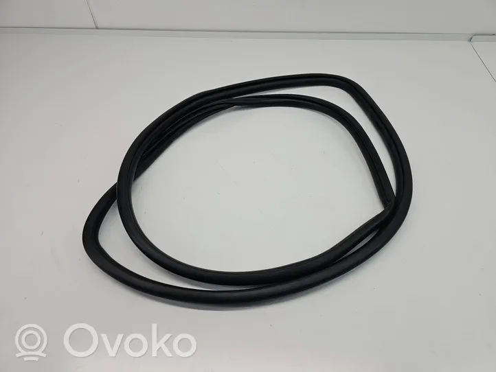 Toyota RAV 4 (XA50) Front door rubber seal 