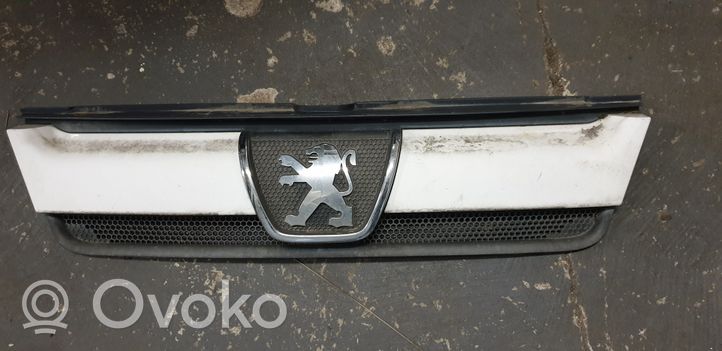 Fiat Ducato Etusäleikkö 1304703070