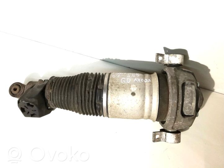 Porsche Cayenne (9PA) Ammortizzatore/sospensione pneumatica 7L5512022F