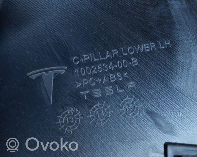 Tesla Model S Einstiegsleiste Zierleiste hinten 100253606B