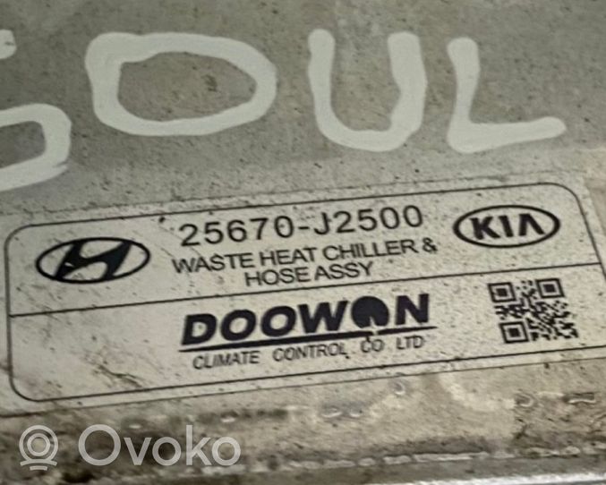 KIA Soul Chłodnica silnika elektrycznego samochodu 25670J2500