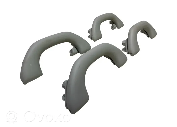 Volkswagen Tiguan A set of handles for the ceiling 1K0857607N