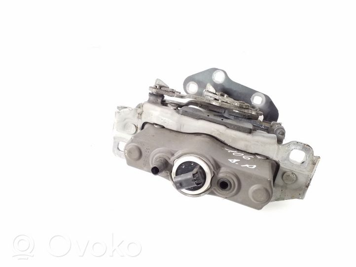 Mercedes-Benz E C207 W207 Cerniere del vano motore/cofano A2048800228