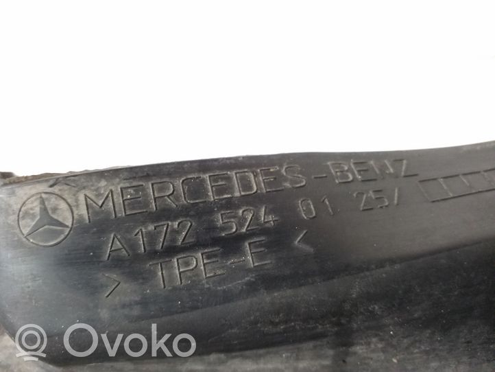 Mercedes-Benz SLK R172 Inny element zawieszenia przedniego A1725240125