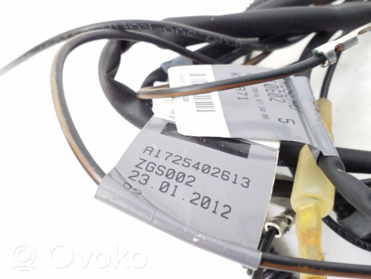 Mercedes-Benz SLK R172 Otros cableados A1725402613