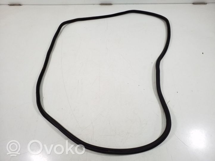 Volkswagen Touareg II Trunk rubber seal (body) 