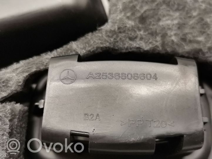 Mercedes-Benz EQC Kita panelės detalė A2536808604