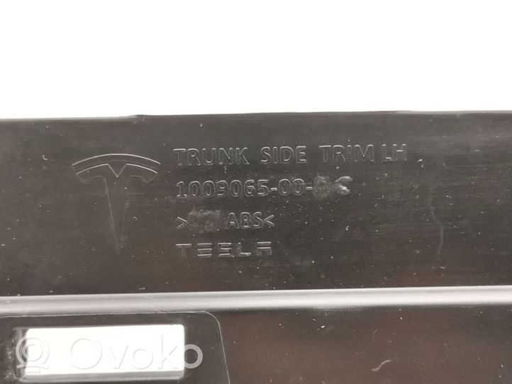 Tesla Model S Takaluukun/tavaratilan sivuverhoilu 1009065-00-C