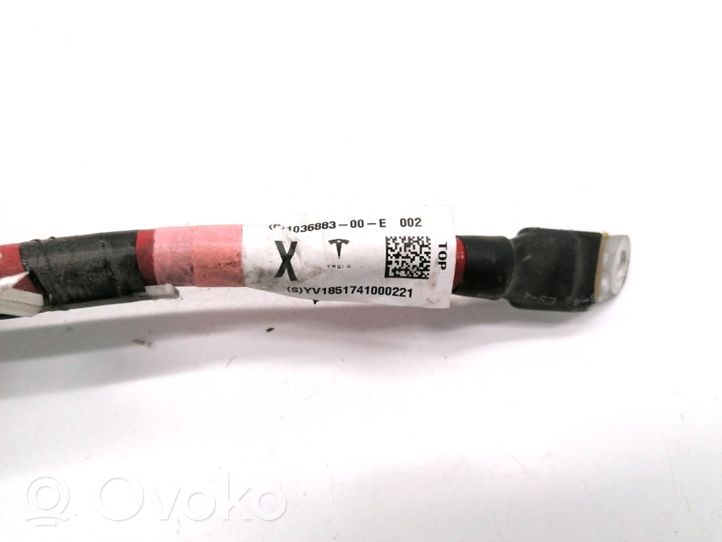 Tesla Model X Câble de batterie positif 1036883-00-E