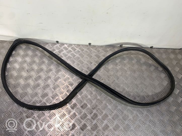 Hyundai Ioniq Rubber seal rear door 