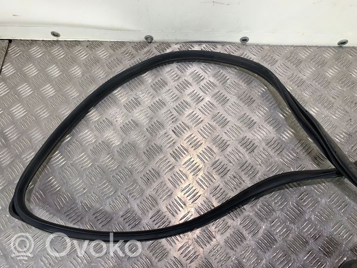 Hyundai Ioniq Rubber seal rear door 