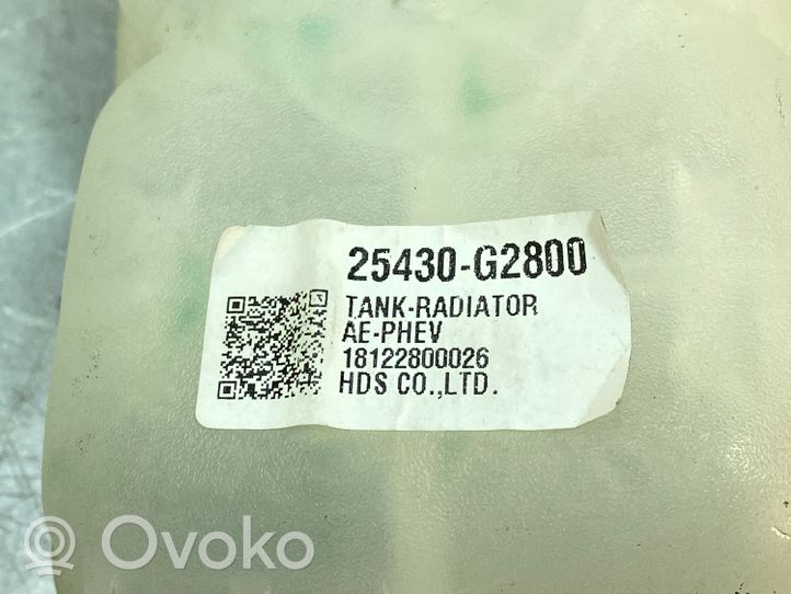 Hyundai Ioniq Serbatoio di compensazione del liquido refrigerante/vaschetta 25430G2800